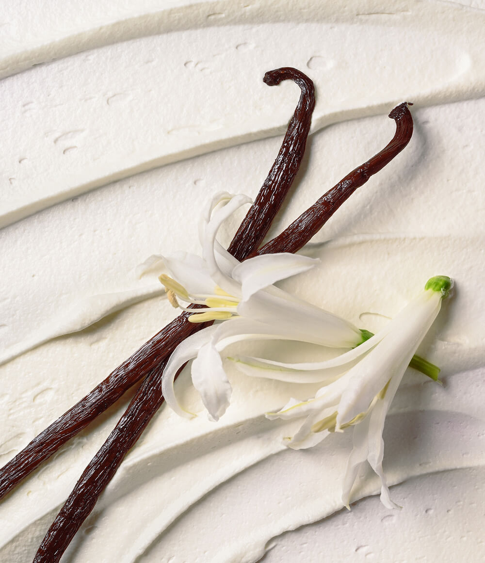 Vanilla Cashmere Shower Essentials